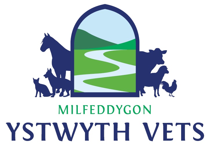 The Ystwyth Veterinary Practice Ltd