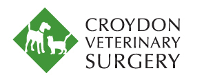 Croydon Veterinary Surgery