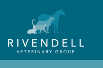Greyfriars Equine Unit - Rivendell Veterinary Group