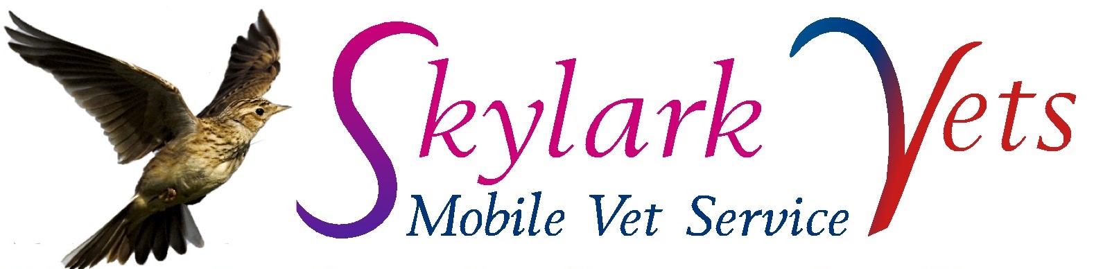 Skylark Vets Ltd