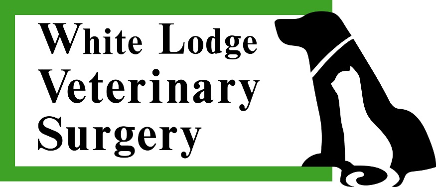 White Lodge Veterinary Surgery - Exmouth