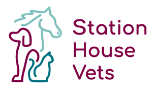 Station House Vets - Small Animals & Equine