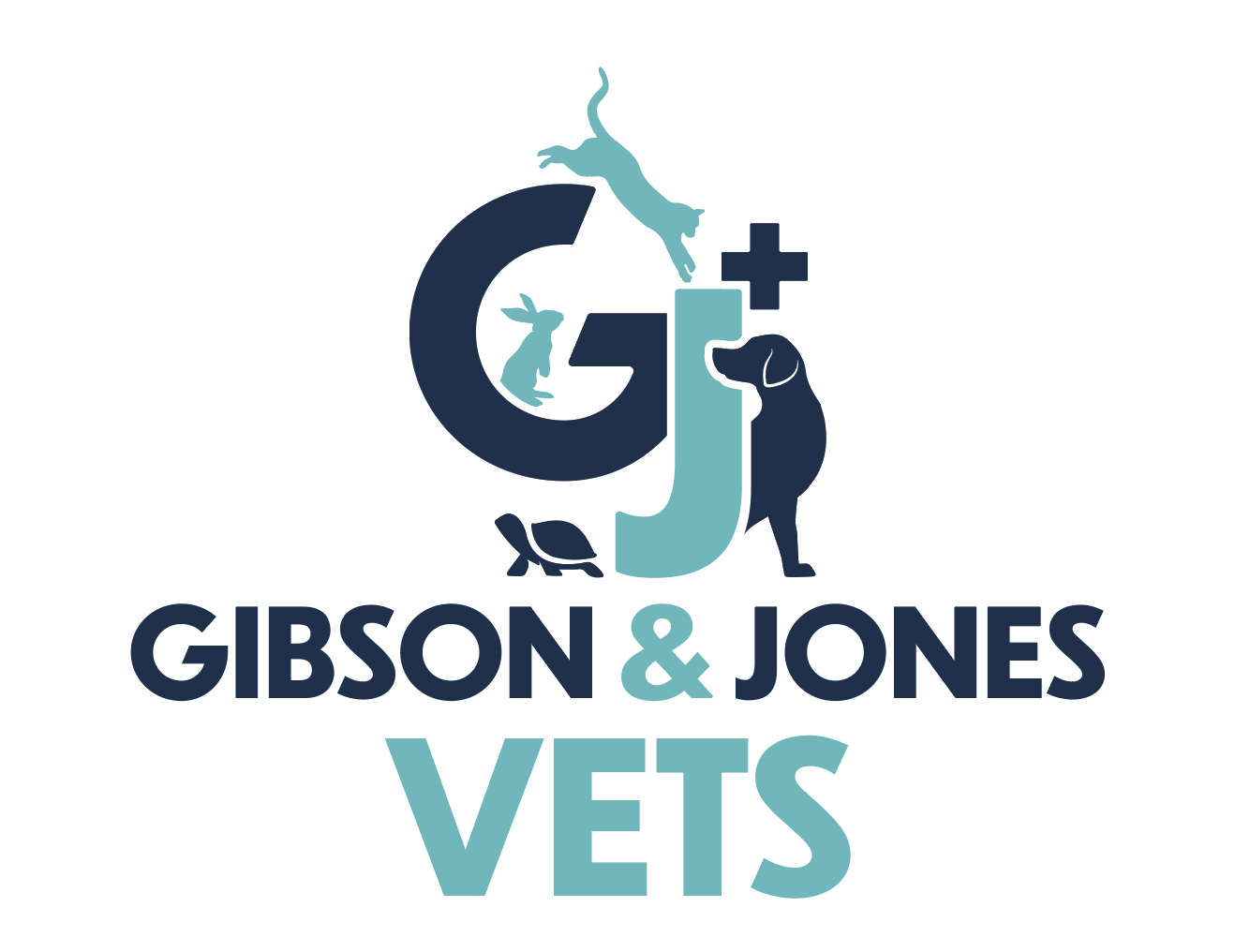 Gibson & Jones Vets - Llanelli Vets