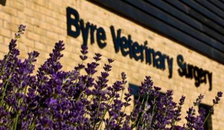 Byre Veterinary Surgery