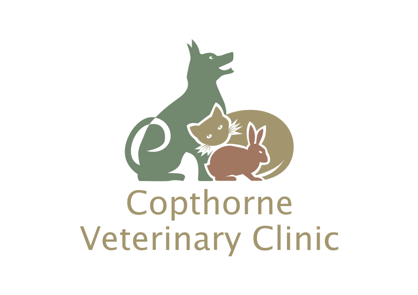 Copthorne Veterinary Clinic - Vet in Crawley, West Sussex