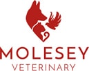 Molesey Veterinary Centre