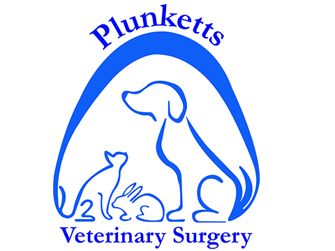 Plunketts Veterinary Surgery - Ramsgate