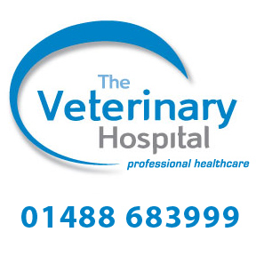 The Veterinary Hospital - Hungerford