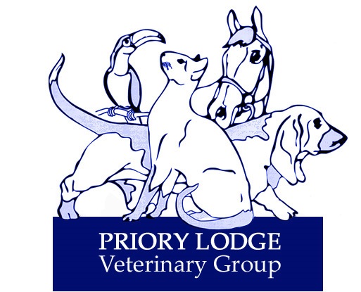 Priory Lodge Veterinary Group