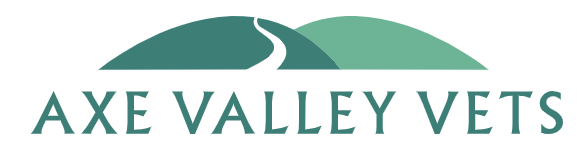 Axe valley logo