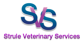 Strule Veterinary Services - Omagh