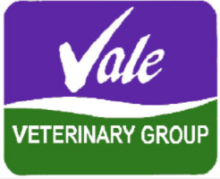 The Vale Veterinary Group