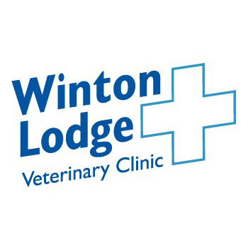 Winton Lodge Veterinary Clinic - Leatherhead