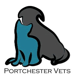 Portchester Vets