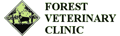 The Forest Veterinary Clinic - Fordingbridge Surgery