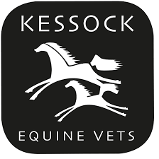 Kessock Equine Vets