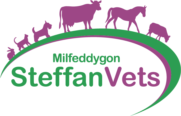 Steffan Veterinary Group