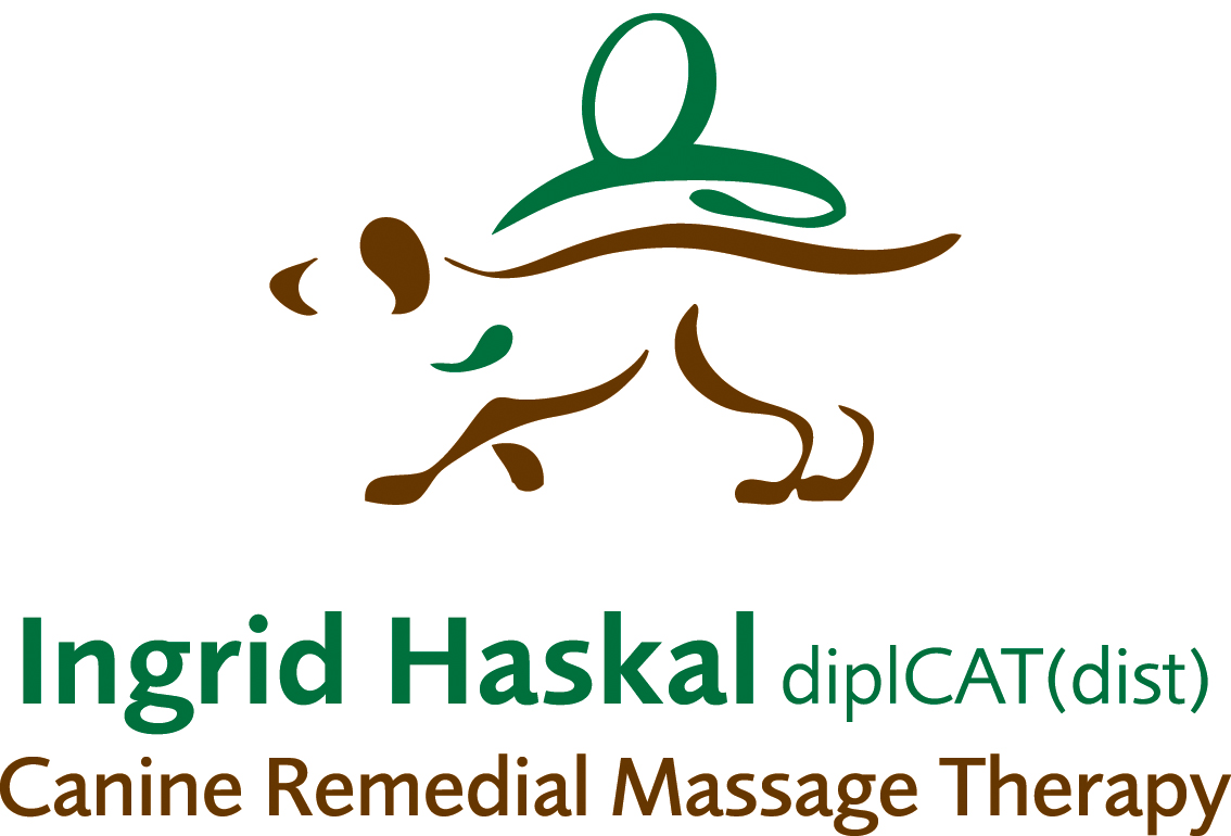 Canine Remedial Massage Therapy