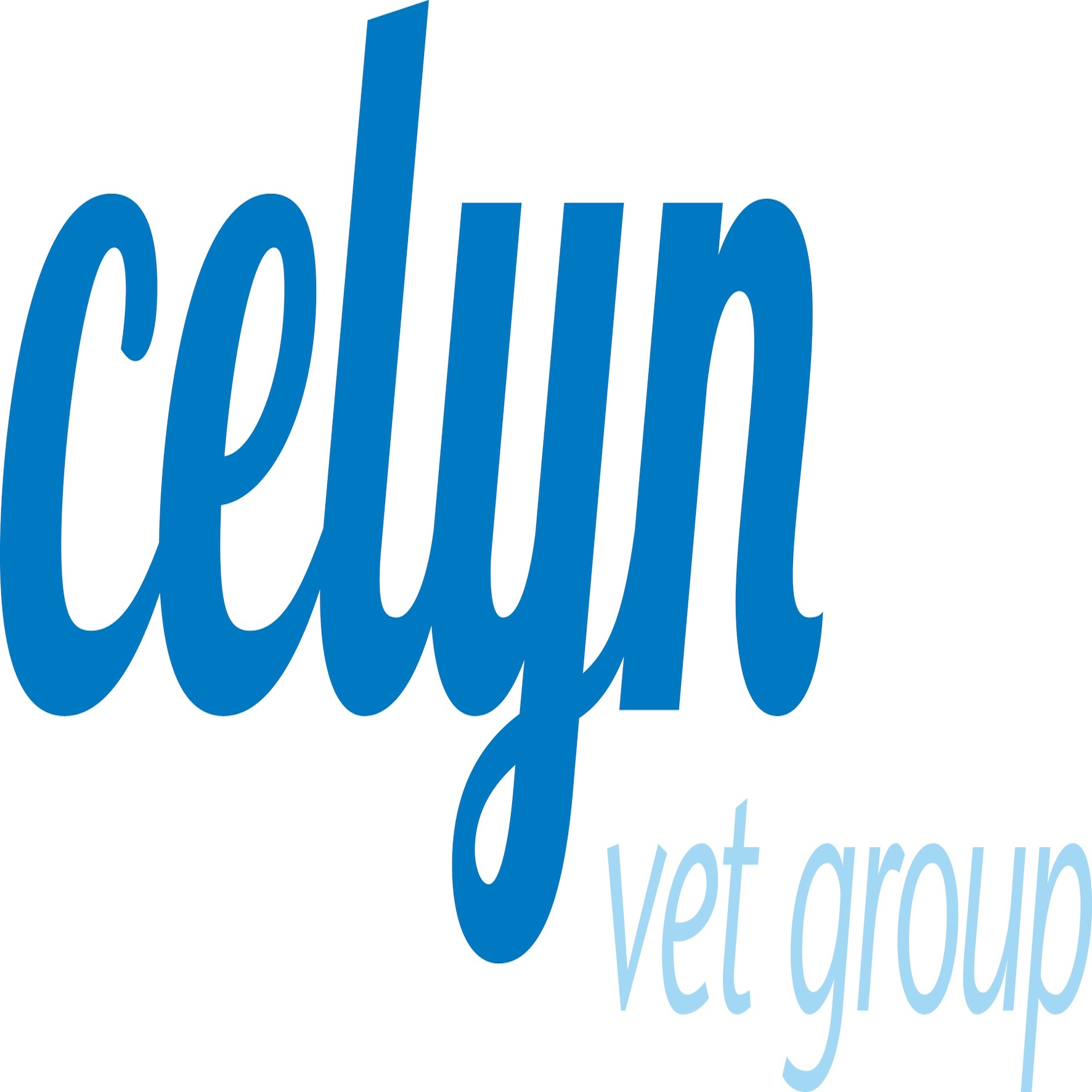 Celyn Vet Group - Holywell