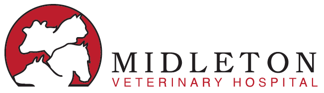 Midleton Veterinary Hospital
