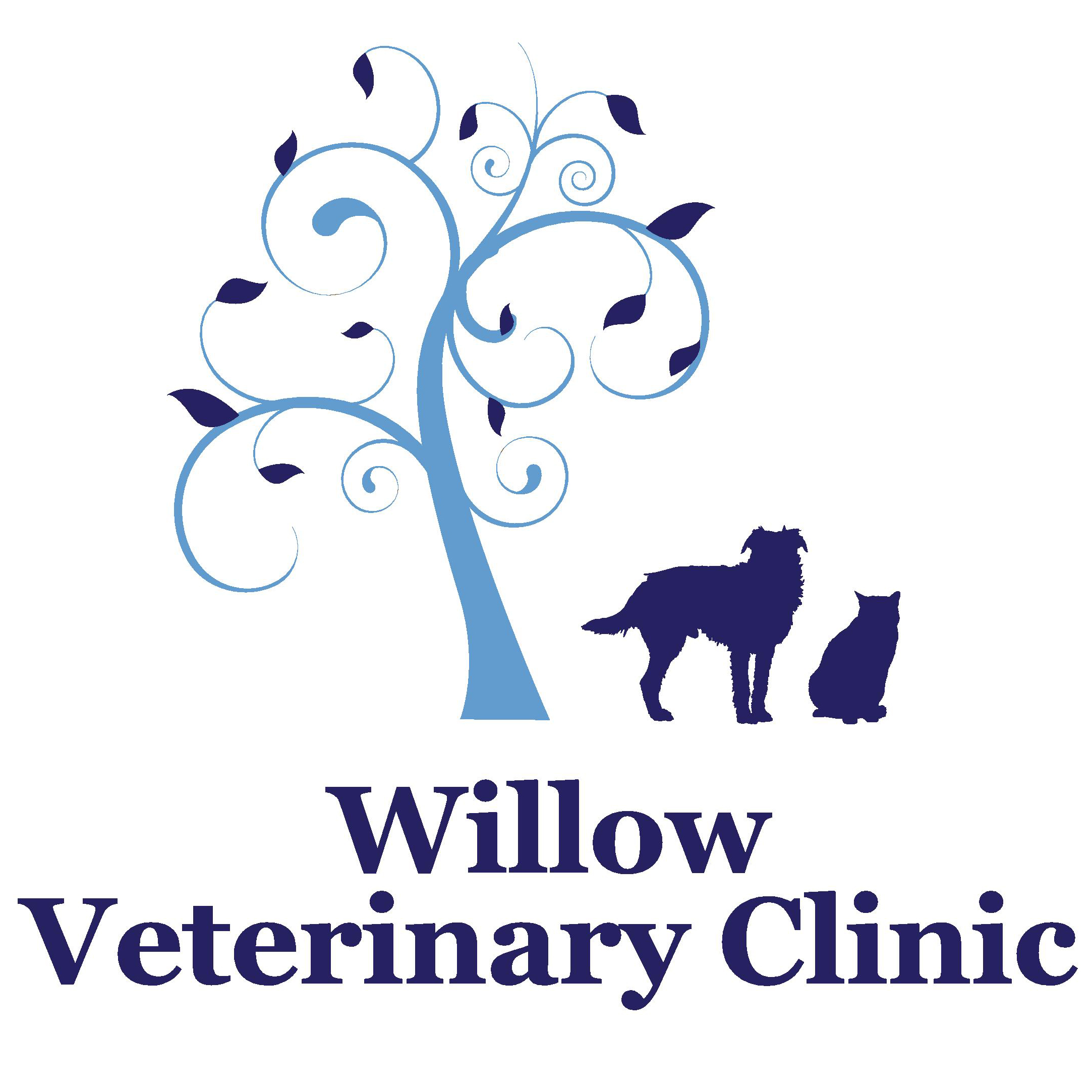 Willow Veterinary Clinic - Thorpe Road (Willow Vets) - Vet in Norwich,  Norfolk