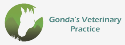Gondas logo