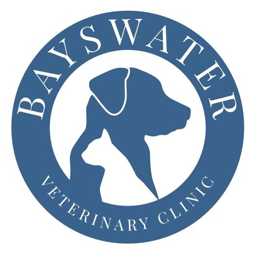 Bayswater Veterinary Clinic - Vet in Westminster, London