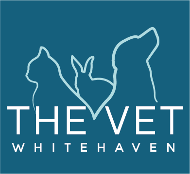 The Vet Whitehaven